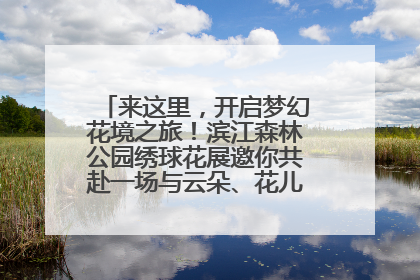 来这里，开启梦幻花境之旅！滨江森林公园绣球花展邀你共赴一场与云朵、花儿的浪漫之约