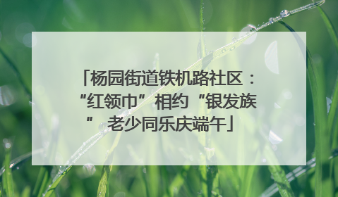 杨园街道铁机路社区：“红领巾”相约“银发族” 老少同乐庆端午