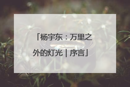 杨宇东：万里之外的灯光｜序言