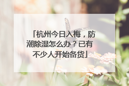 杭州今日入梅，防潮除湿怎么办？已有不少人开始备货