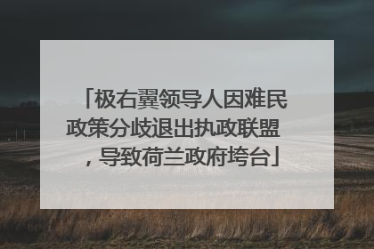 极右翼领导人因难民政策分歧退出执政联盟，导致荷兰政府垮台