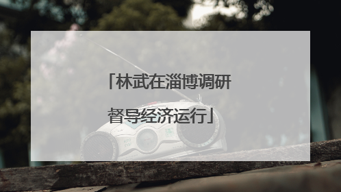 林武在淄博调研督导经济运行