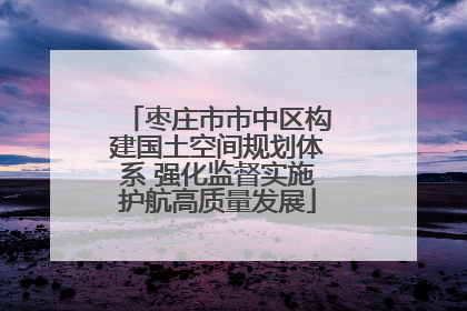 枣庄市市中区构建国土空间规划体系 强化监督实施护航高质量发展
