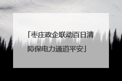 枣庄政企联动百日清障保电力通道平安
