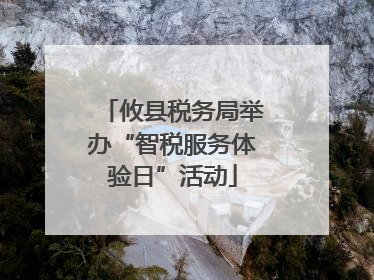 攸县税务局举办“智税服务体验日”活动