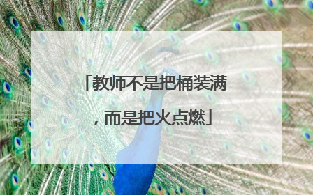 教师不是把桶装满，而是把火点燃