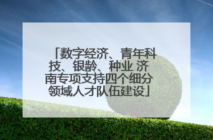 数字经济、青年科技、银龄、种业 济南专项支持四个细分领域人才队伍建设
