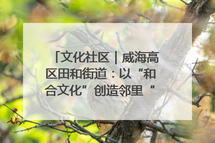 文化社区｜威海高区田和街道：以“和合文化”创造邻里“和合之美”