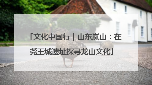 文化中国行｜山东岚山：在尧王城遗址探寻龙山文化