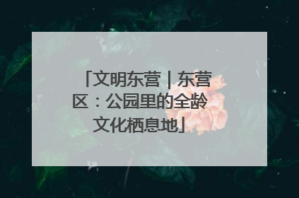 文明东营｜东营区：公园里的全龄文化栖息地