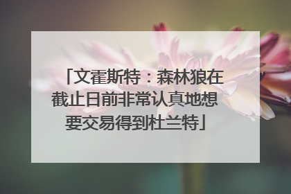 文霍斯特：森林狼在截止日前非常认真地想要交易得到杜兰特