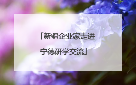 新疆企业家走进宁德研学交流