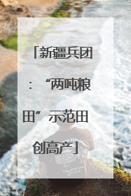新疆兵团：“两吨粮田”示范田创高产