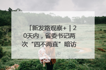 新发路观察+｜20天内，省委书记两次“四不两直”暗访，有何深意？