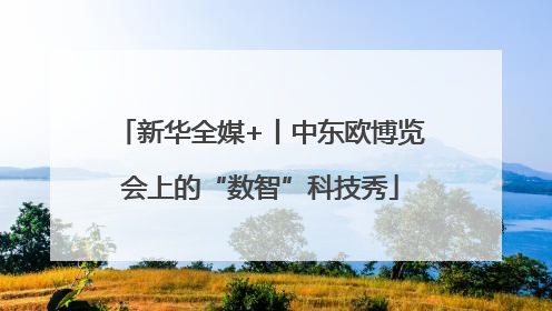 新华全媒+丨中东欧博览会上的“数智”科技秀
