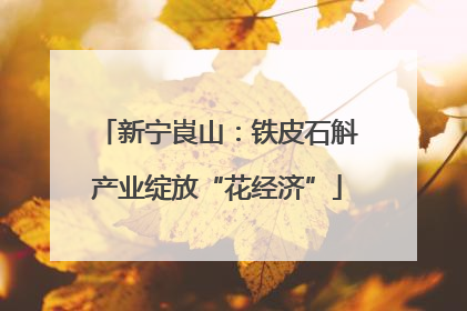 新宁崀山：铁皮石斛产业绽放“花经济”