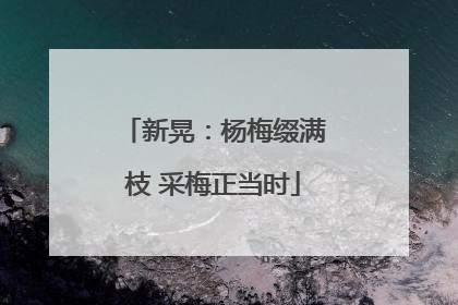 新晃：杨梅缀满枝 采梅正当时