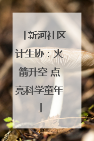 新河社区计生协：火箭升空 点亮科学童年