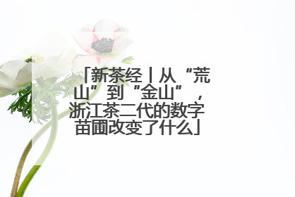 新茶经丨从“荒山”到“金山”，浙江茶二代的数字苗圃改变了什么