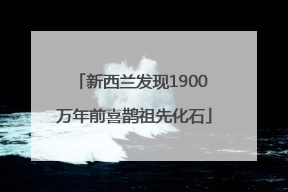 新西兰发现1900万年前喜鹊祖先化石