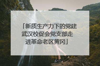 新质生产力下的党建 武汉校促会党支部走进革命老区黄冈