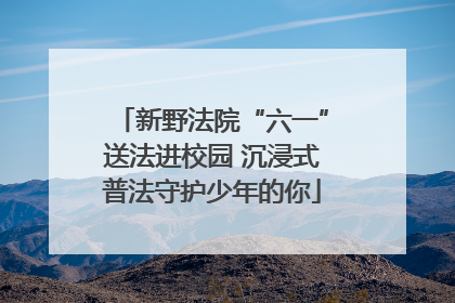 新野法院“六一”送法进校园 沉浸式普法守护少年的你