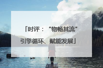 时评：“物畅其流”引擎循环、赋能发展