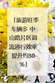 旅游旺季车辆多 中山路片区调流通行效率提升约30%