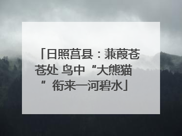 日照莒县：蒹葭苍苍处 鸟中“大熊猫”衔来一河碧水