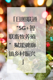 日照联通“5G+智联畜牧养殖”赋能碑廓镇乡村振兴