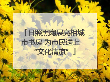 日照黑陶展亮相城市书房 为市民送上“文化清凉”