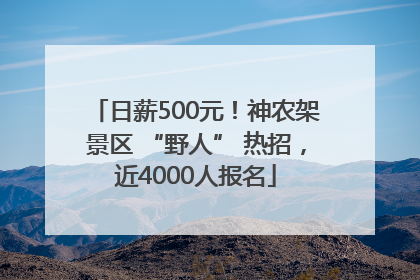 日薪500元！神农架景区 “野人” 热招，近4000人报名