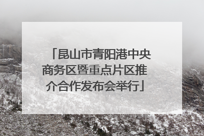 昆山市青阳港中央商务区暨重点片区推介合作发布会举行