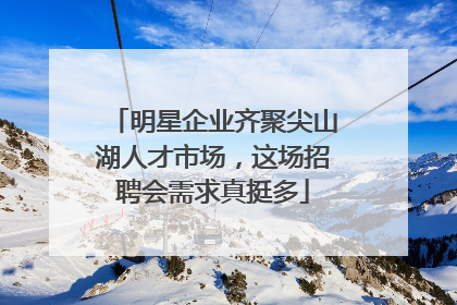 明星企业齐聚尖山湖人才市场，这场招聘会需求真挺多