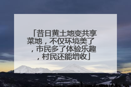 昔日黄土地变共享菜地，不仅环境美了，市民多了体验乐趣，村民还能增收
