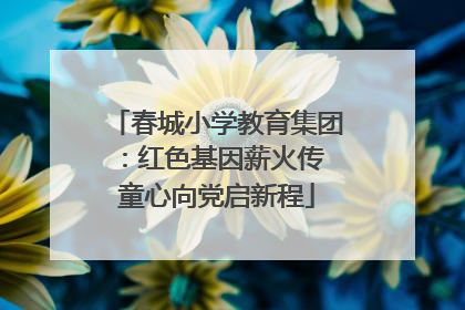 春城小学教育集团：红色基因薪火传 童心向党启新程