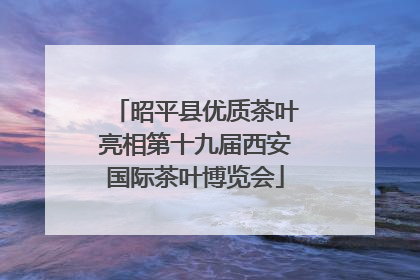 昭平县优质茶叶亮相第十九届西安国际茶叶博览会