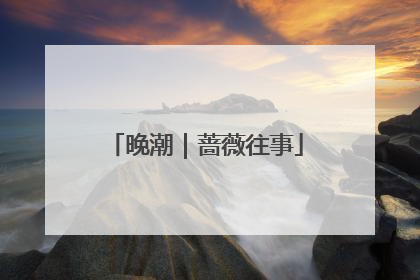 晚潮｜蔷薇往事