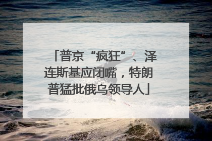 普京“疯狂”、泽连斯基应闭嘴，特朗普猛批俄乌领导人