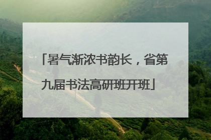 暑气渐浓书韵长，省第九届书法高研班开班