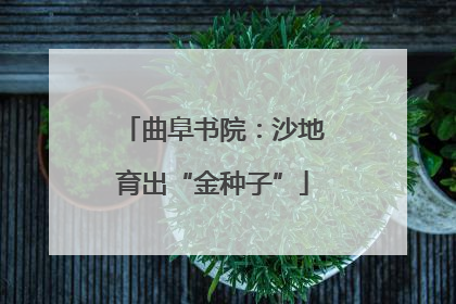 曲阜书院：沙地育出“金种子”