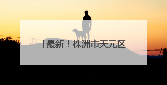 最新！株洲市天元区校外培训机构白名单公布（6月9日）