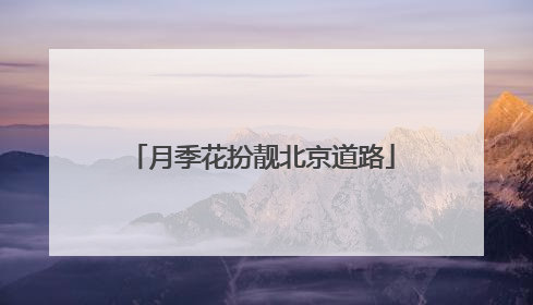 月季花扮靓北京道路