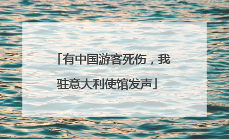 有中国游客死伤，我驻意大利使馆发声