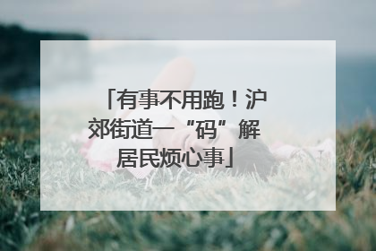 有事不用跑！沪郊街道一“码”解居民烦心事