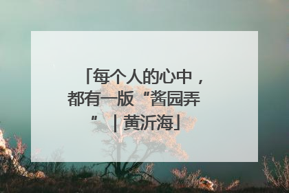 每个人的心中，都有一版“酱园弄”｜黄沂海
