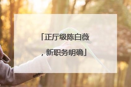 正厅级陈白薇，新职务明确