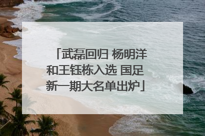 武磊回归 杨明洋和王钰栋入选 国足新一期大名单出炉