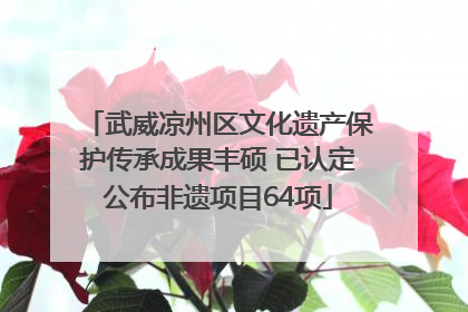 武威凉州区文化遗产保护传承成果丰硕 已认定公布非遗项目64项