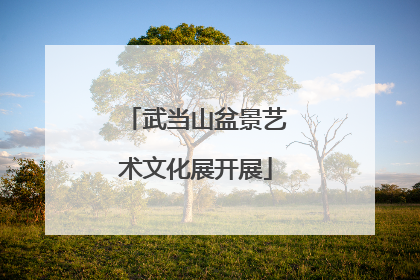 武当山盆景艺术文化展开展